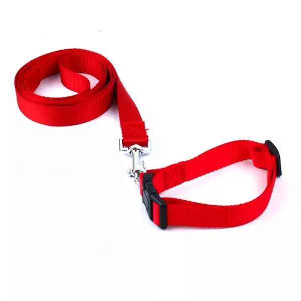 Correa Perro Nylon + Collar